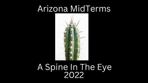 Arizona Midterms 2022 A Spine In The Eye