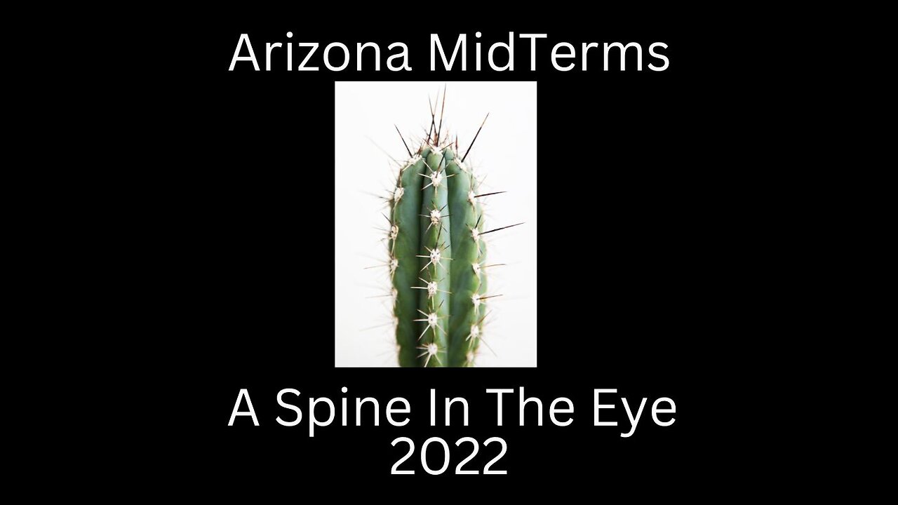 Arizona Midterms 2022 A Spine In The Eye