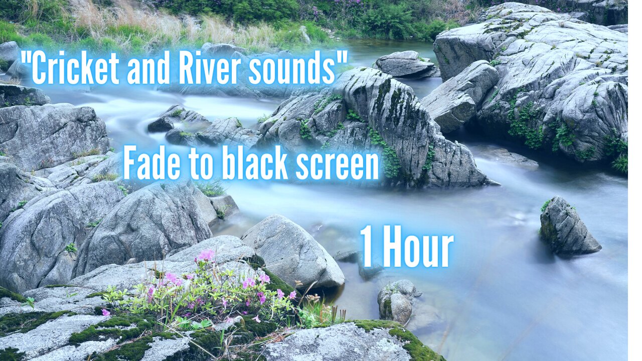 🧘🏻‍♂️ Cricket And River Sounds 🧘🏻 Fade to Black Screen ( 1 Hour )🌊 🌊 🌊