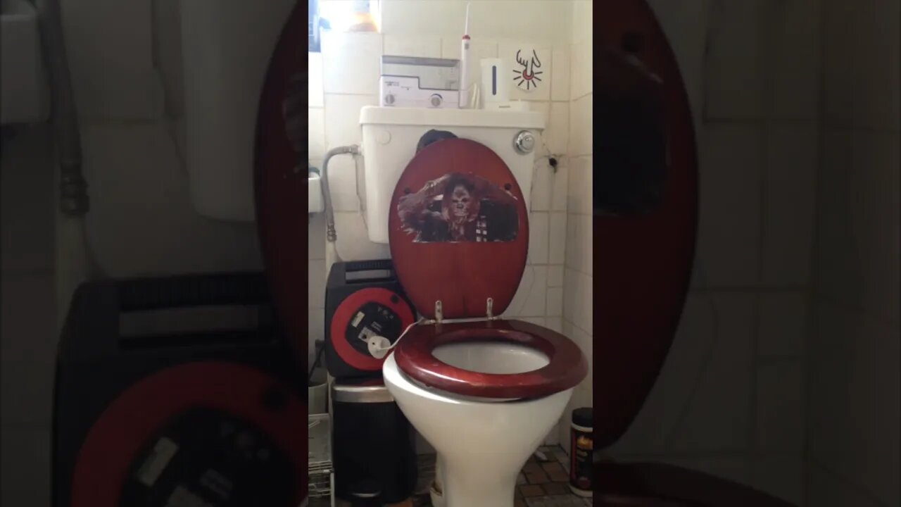 A Toilet That Sounds just like Chewbacca #toilet the Wookie Win #RELOADED #loocas #arts #films peek