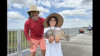 MASSIVE TILAPIA Escapes Giant Gator - AND THEN WE EAT IT! Florida Fishing Catch & Cook!