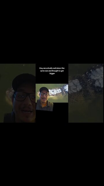 We do have crocodiles in florida