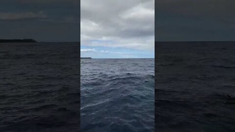 Waves from the Catamaran in Roatan Honduras!