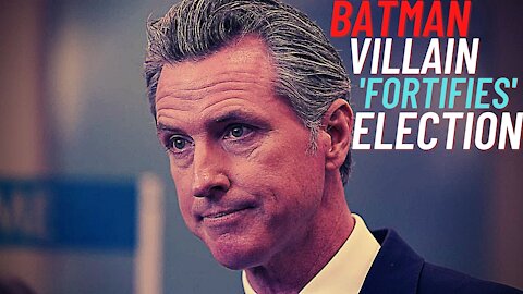 Gay Trees. Racist Rocks. And 'fortified' Elections