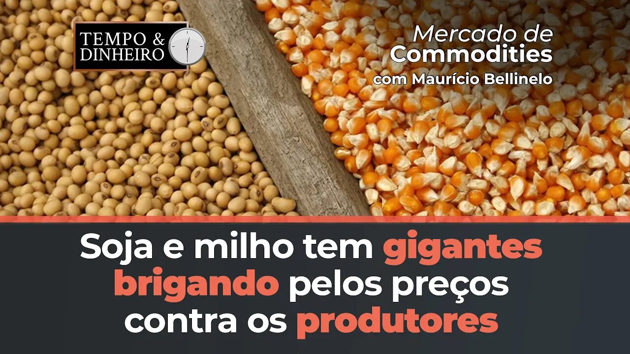 Soja e milho tem gigantes brigando pelos preços contra os produtores