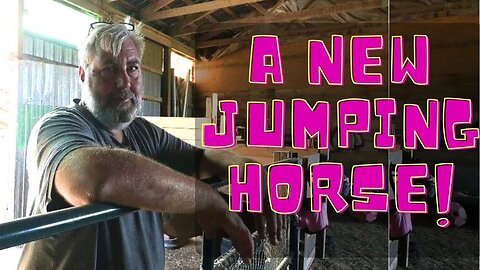 We're Buying A New Jumping Horse!