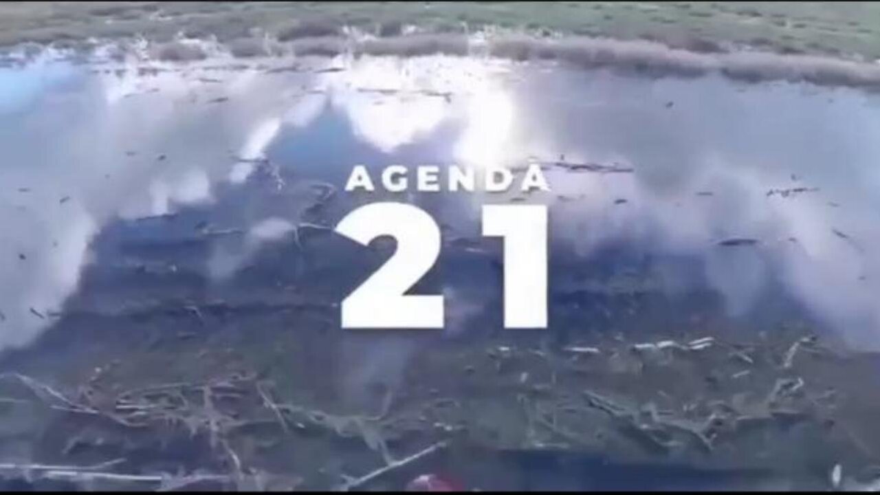 🚨What Is AGENDA 21? DEPOPULATION OF 95% Of The World By 2030 - David Icke