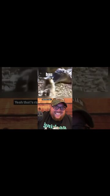 Here’s Your Dose of REALarious…🤣🤣🤣 #funny #duet #funnycomedy #makeyoulaugh #comedyfilms #cat