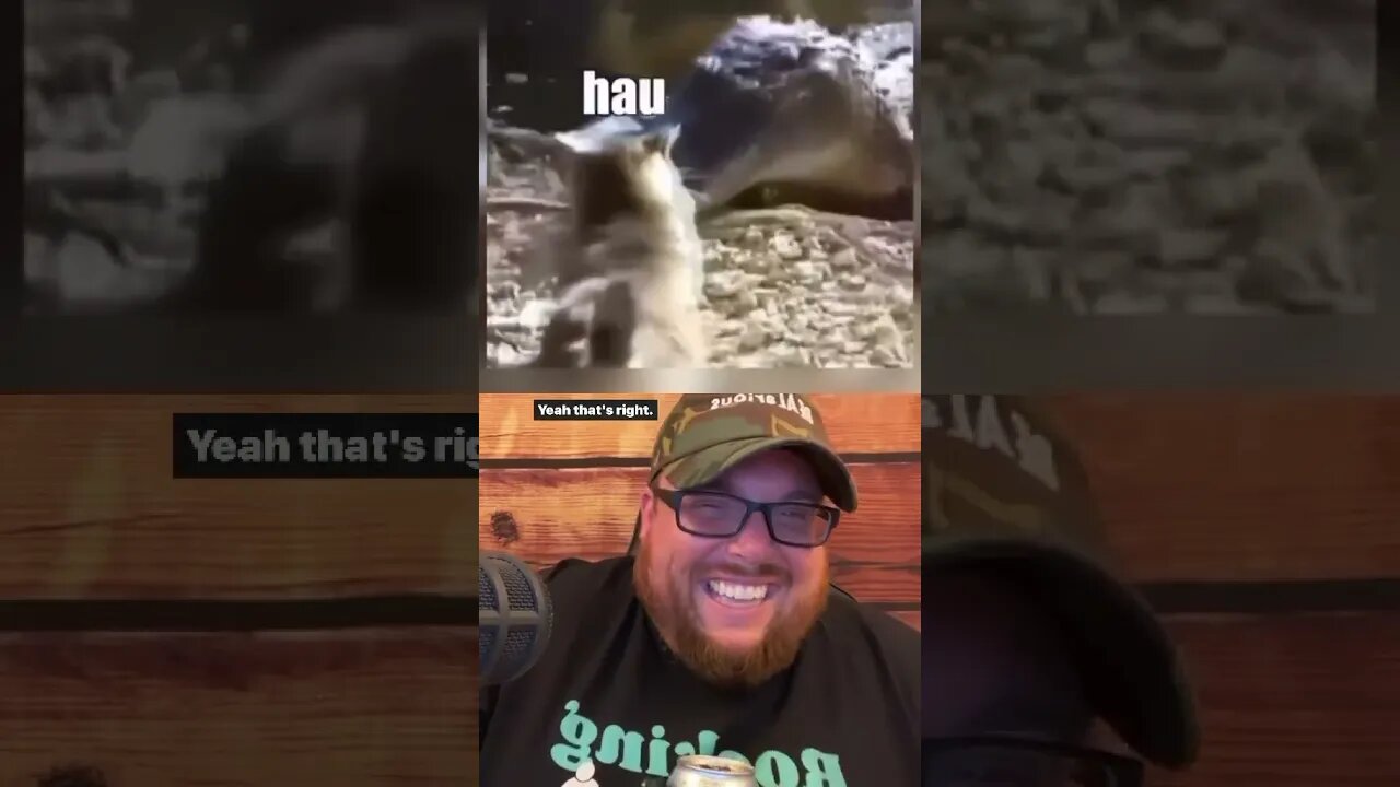 Here’s Your Dose of REALarious…🤣🤣🤣 #funny #duet #funnycomedy #makeyoulaugh #comedyfilms #cat