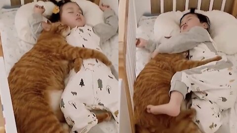 Baby sleeping with Cat Amazing moments