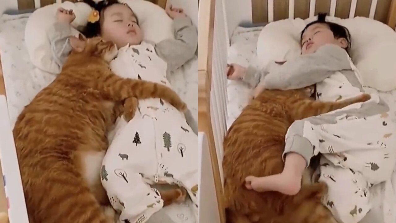 Baby sleeping with Cat Amazing moments