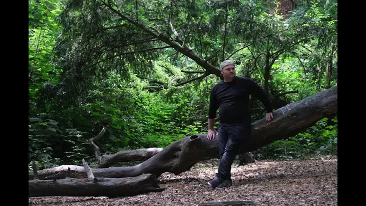 Within the Woods - A Photoshoot by Mike Wilcox (from June 2021) #NaturePhotography #Nottingham