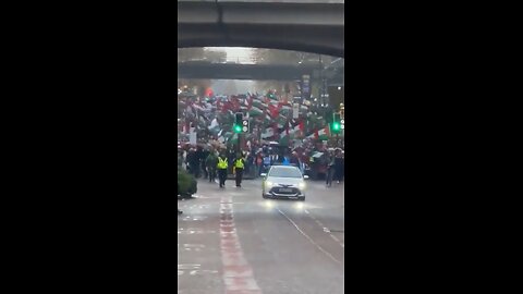 Palestinians protest and take over London streets