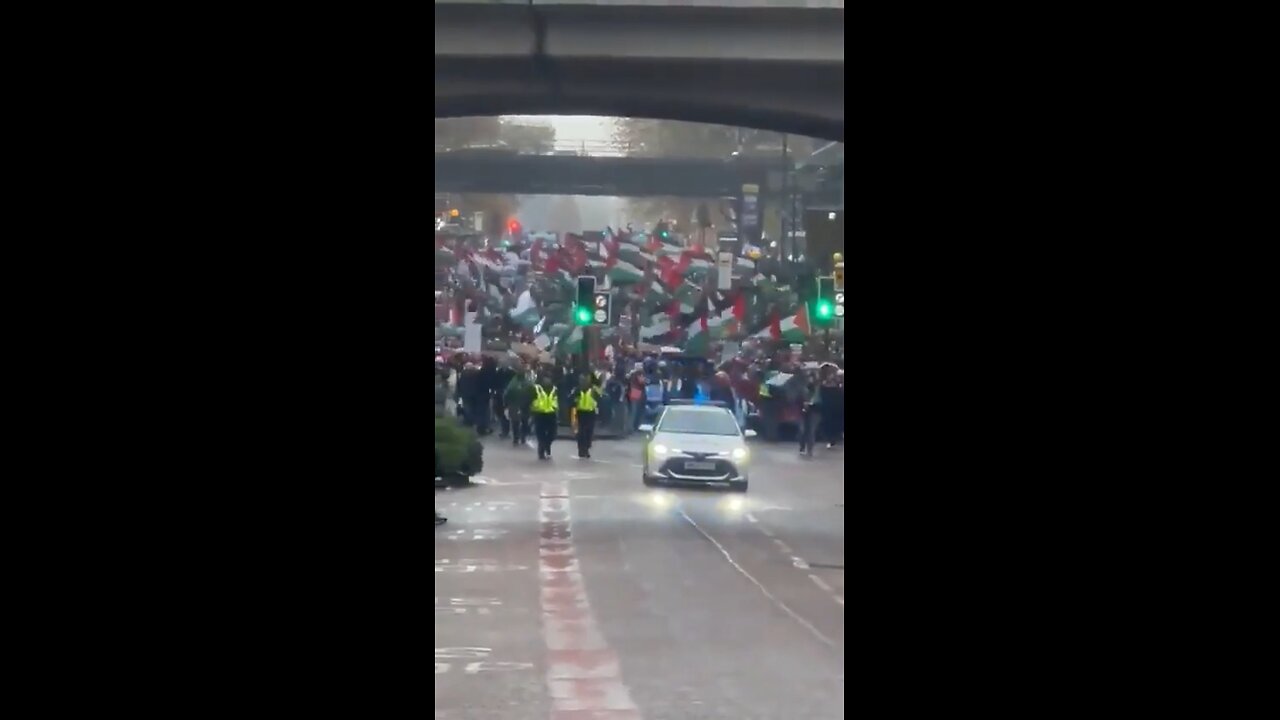 Palestinians protest and take over London streets