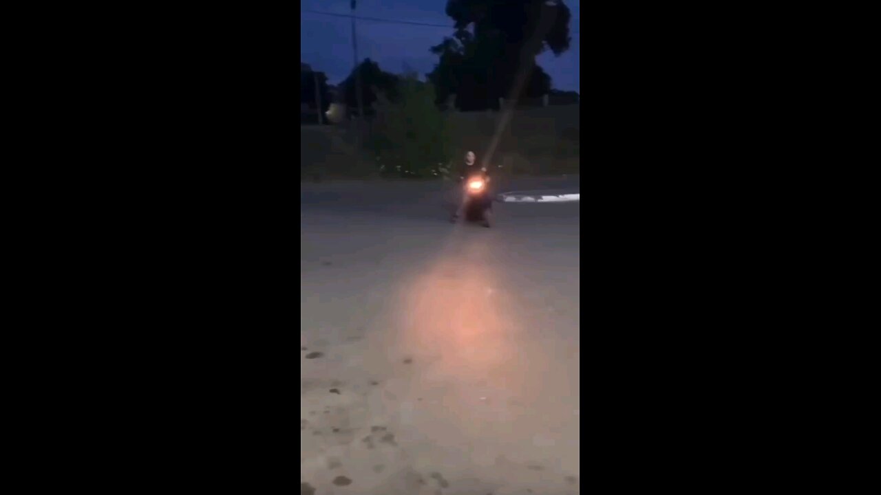 funny videos