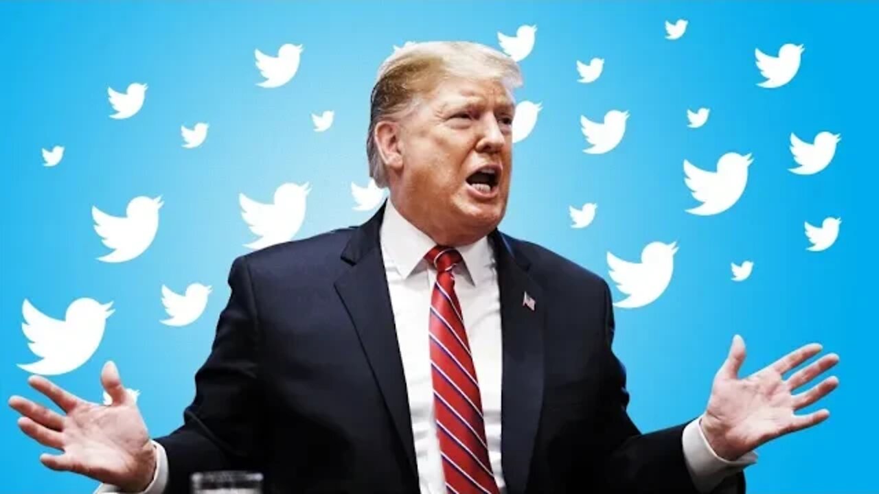 Trump Breaks His Silence on Musk's Purchase of Twitter! | When Will he be back? | Musk gives Update!