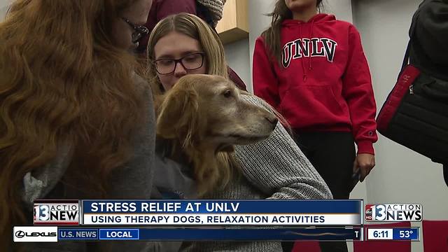 Therapy dogs provide stress relief for UNLV students