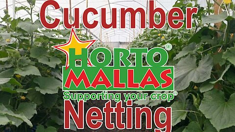 HORTOMALLAS Cucumber Netting