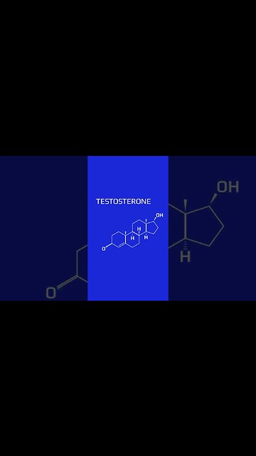 How Does 𝗧𝗲𝘀𝘁𝗶𝗰𝘂𝗹𝗮𝗿 𝗦𝗶𝘇𝗲 𝗔𝗳𝗳𝗲𝗰𝘁 𝗧𝗲𝘀𝘁𝗼𝘀𝘁𝗲𝗿𝗼𝗻𝗲 𝗟𝗲𝘃𝗲𝗹𝘀?