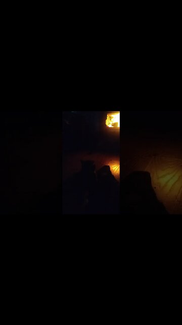 Enjoying the wood stove on a snowy morning...