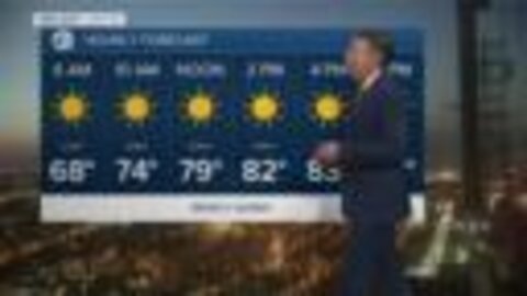 7 First Alert Forecast