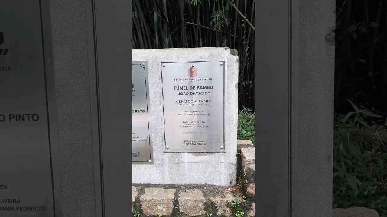 INICIO DO TUNEL DE BAMBU EM MORUNGABA SÃO PAULO TUNEL JOÃO DAMÁSIO PLACA DE INAUGURAÇÃO