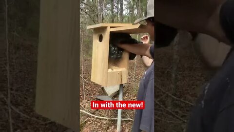 Installing duck boxes with my Students!