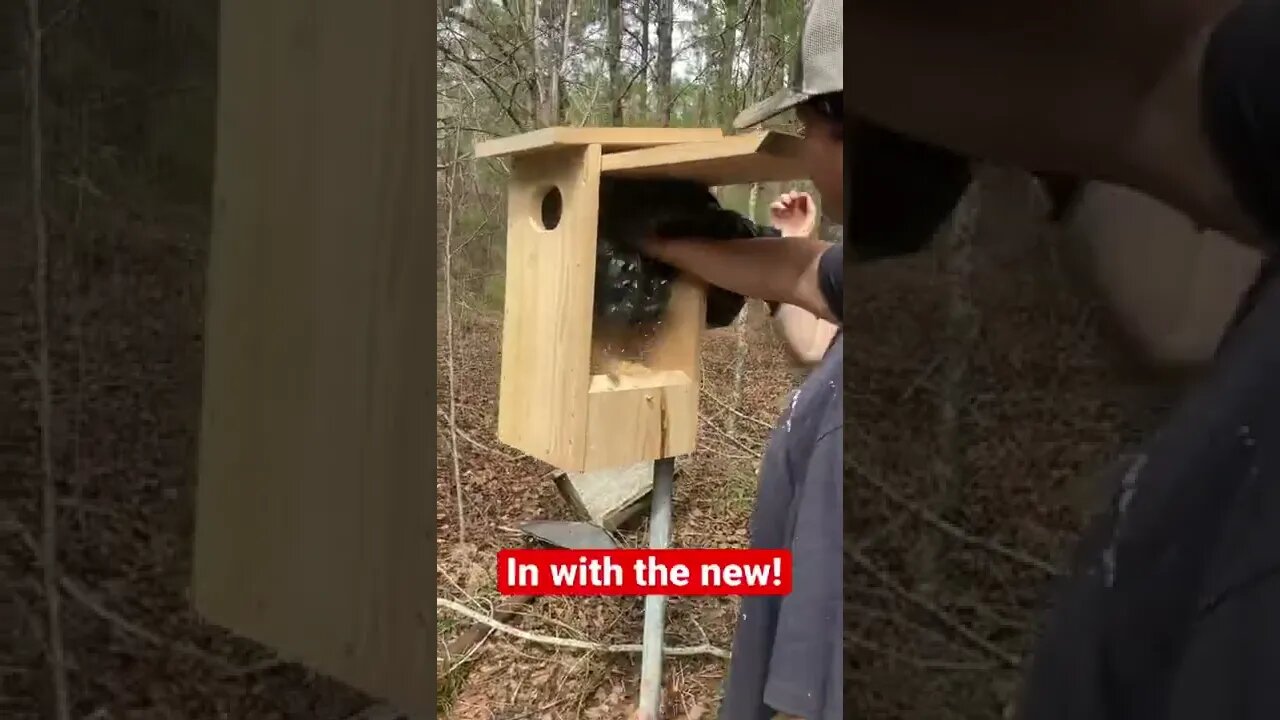 Installing duck boxes with my Students!