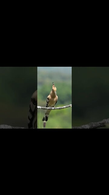 اجمل ماسمعت في حياتي