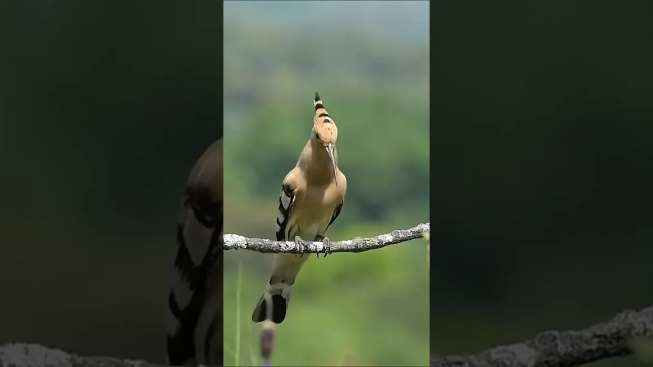 اجمل ماسمعت في حياتي