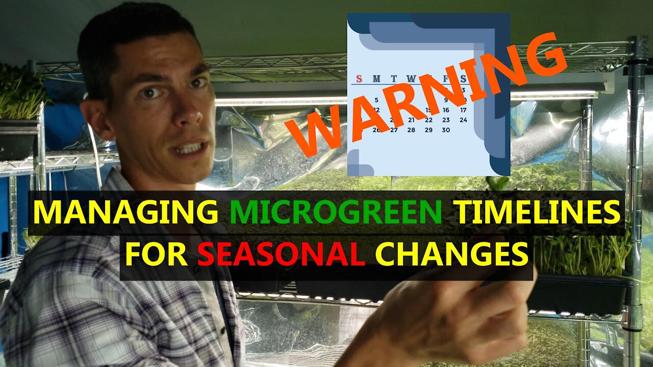 Managing Changing Timelines with Seasonal Changes for Growing Microgreens