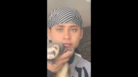 Funny video