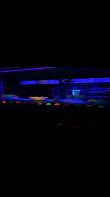 Glow in the dark Neon HALLOWEEN Party