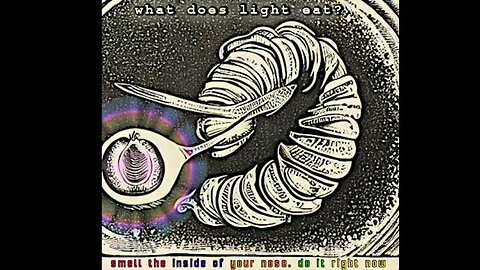 What Does Your Light Eat?