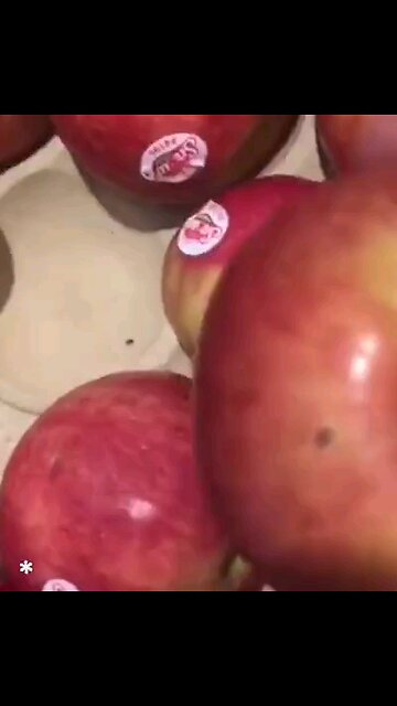 과일 야채에 이상한 흔적! 백신 맞았나? 240305