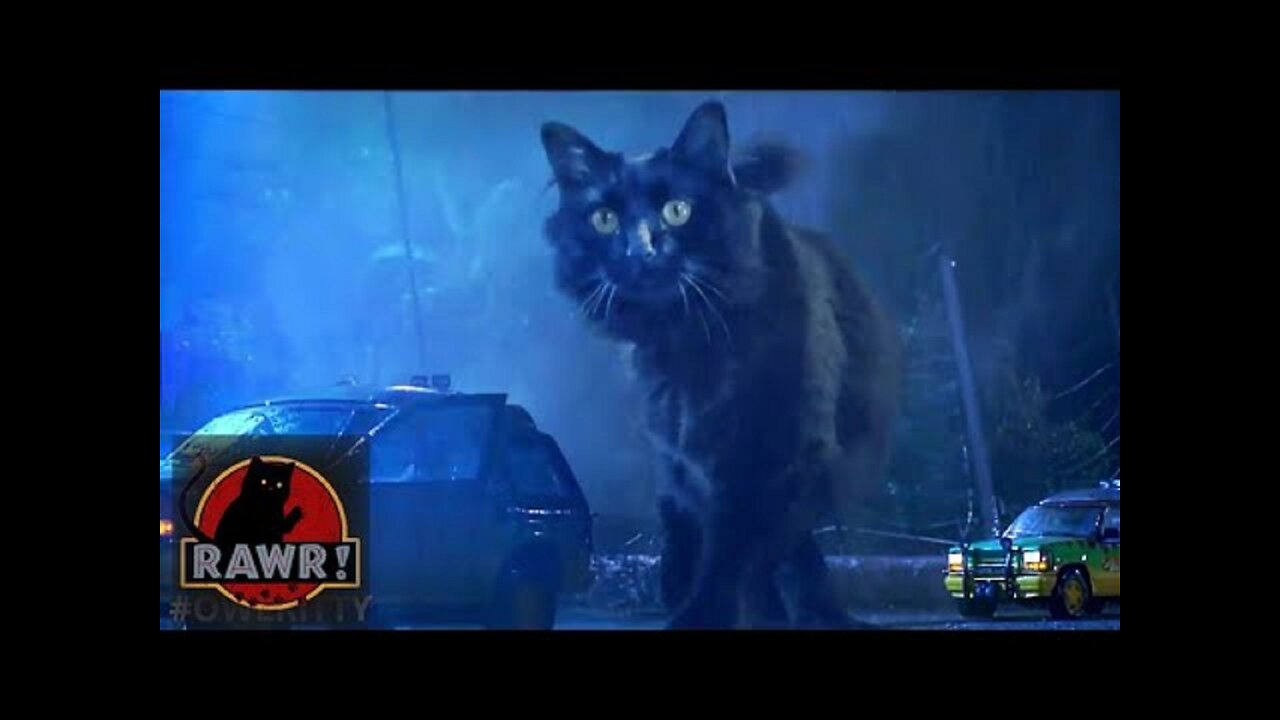 Jurrasic Park but it's a cat - OwlKitty best of (OwlKitty parody best of)