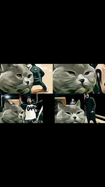 Cat Reacts to Mrbeast Squid Game in Real Life #mrbeast #squidgame