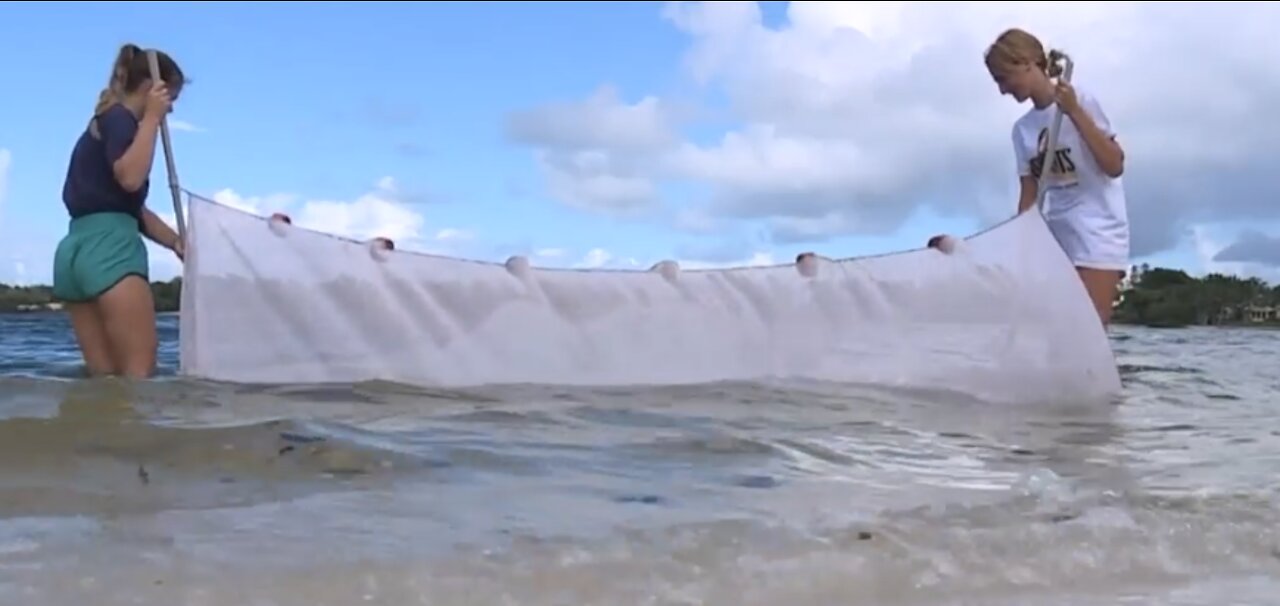 Day in the life of Indian River Lagoon