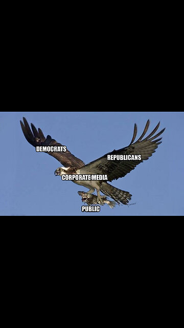 The Democratic Party That Defends Democracy