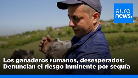 Los ganaderos rumanos denuncian riesgo inminente por sequía