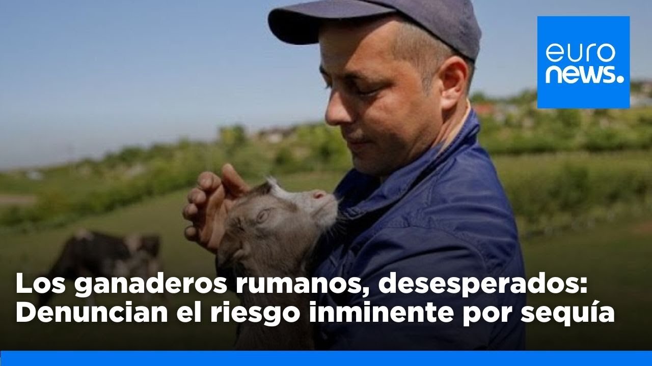 Los ganaderos rumanos denuncian riesgo inminente por sequía