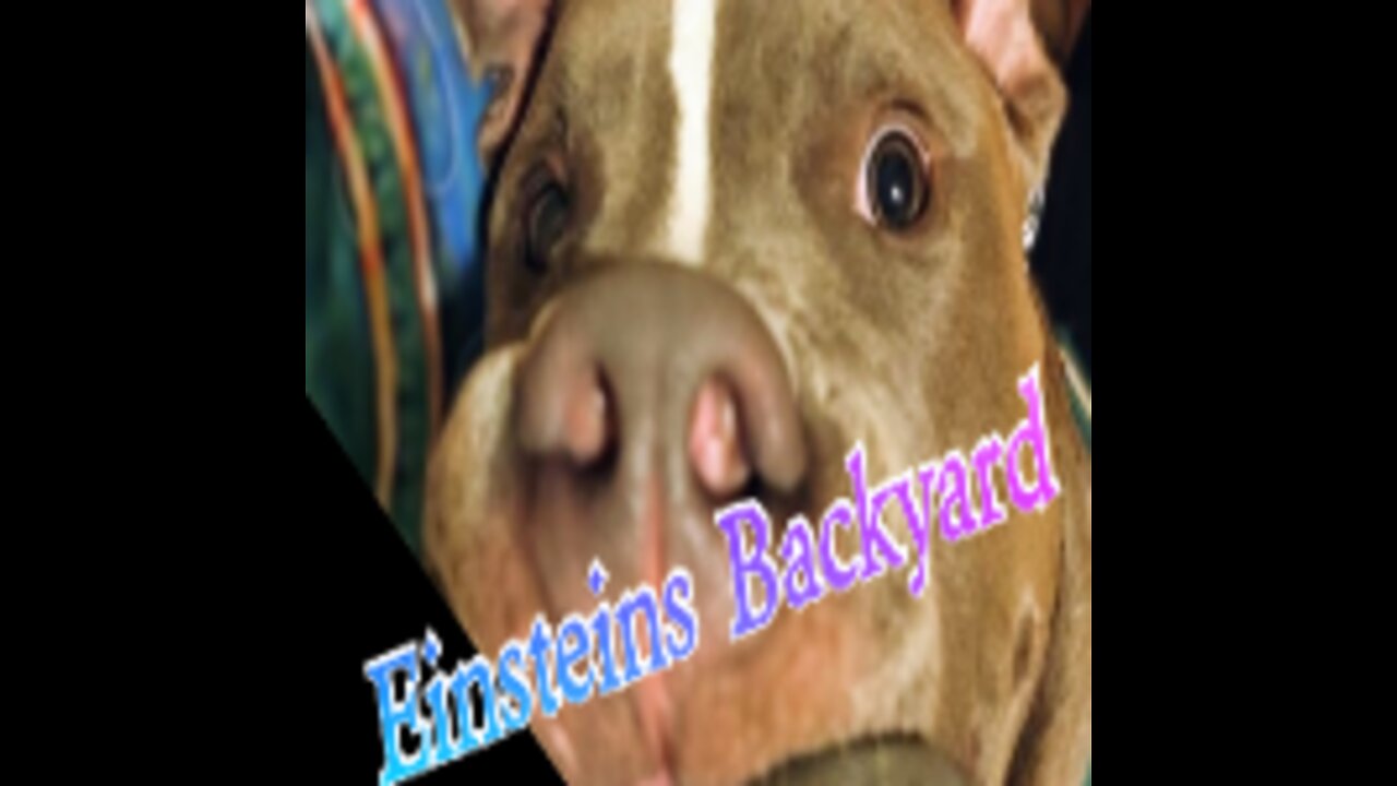 Einsteins Backyard Ep 1 Pilot