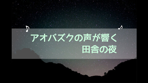 自然の音♫アオバズクの鳴く田舎の夜♫