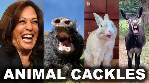 NIGHTMARE What If Animals Laughed Like Kamala Harris