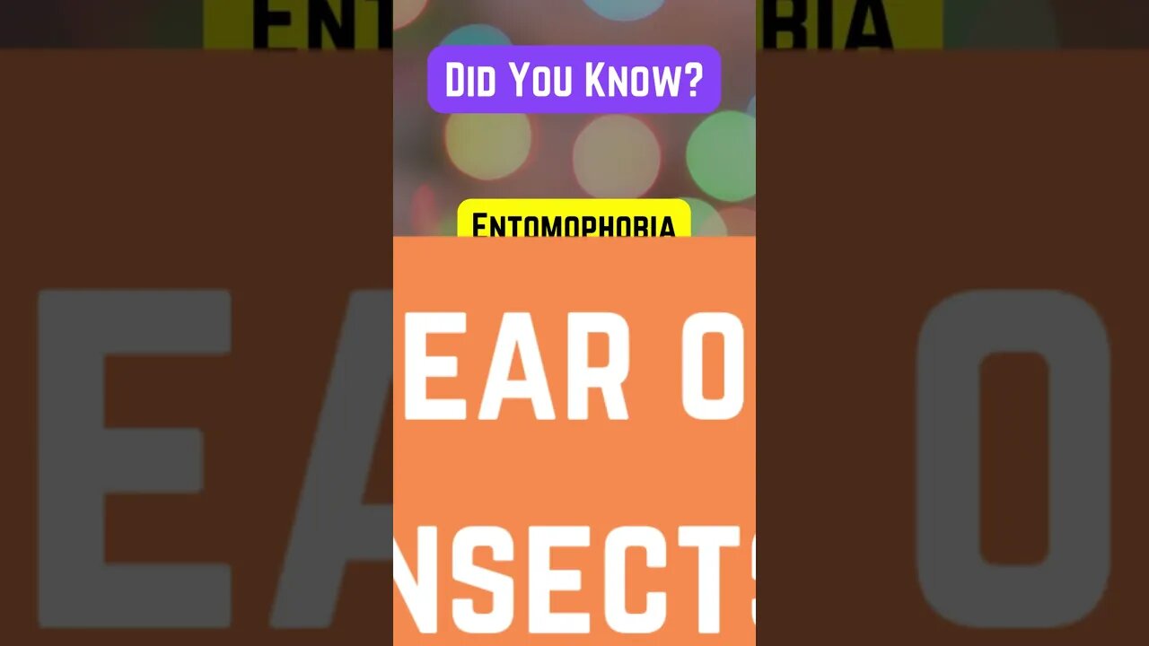 Face your Entomophobia!