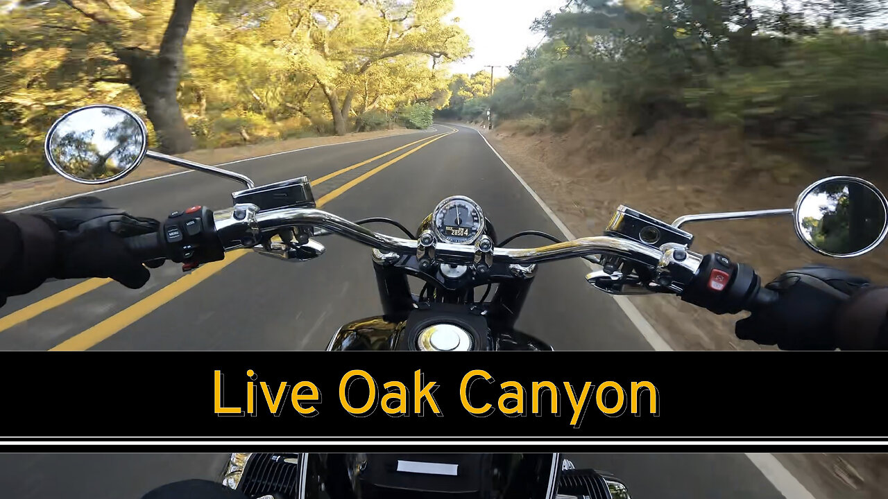 Live Oak Canyon
