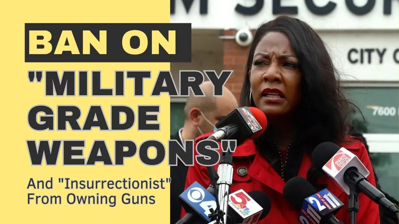 City Tries To Ban "Military Grade Weapons" And Insurrectionist From Having Guns