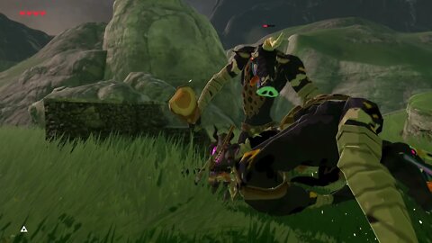 Breath of the Wild Master Mode 28