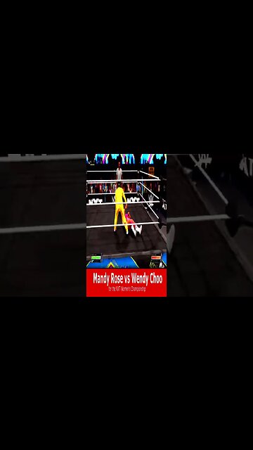 NXT In Your House Sim