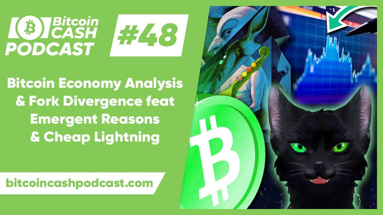 The Bitcoin Cash Podcast #48 - Bitcoin Economy Analysis & Fork Divergence ft. ER & CL